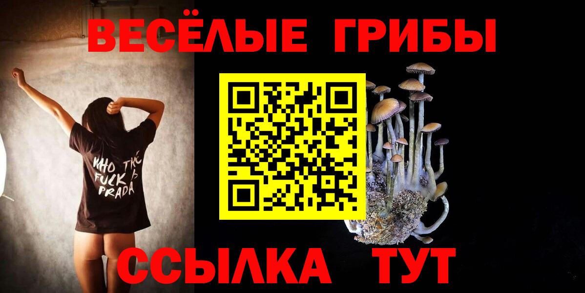 Псилоцибиновые грибы мицелий  Вход с VPN  Ногинск 